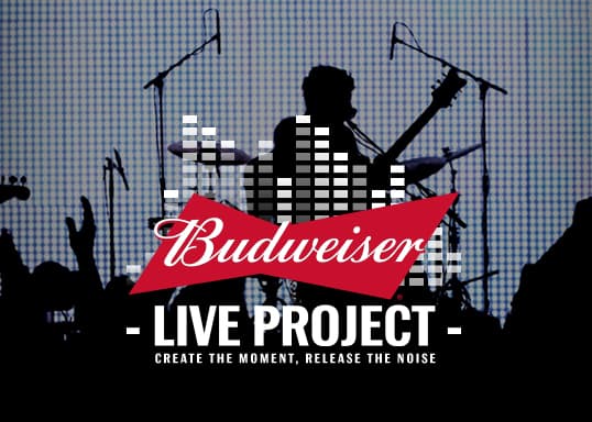 budweiser live project