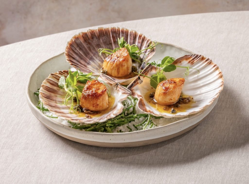 Image 21-04-2026 at 14.57